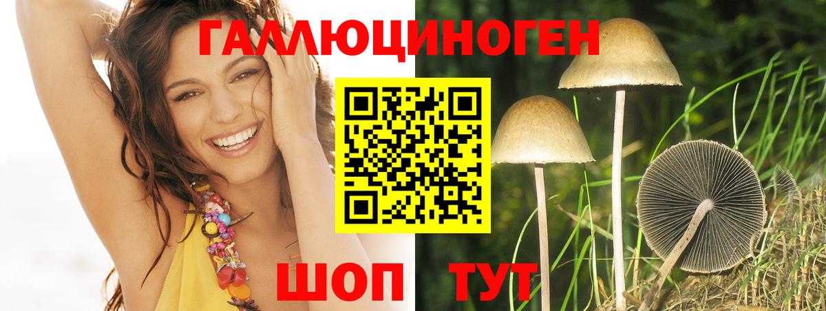 Псилоцибиновые грибы GOLDEN TEACHER Новоалександровск